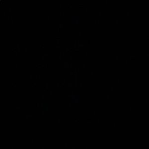 Meet your Posher, Kristin